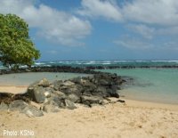 Lydgate beach