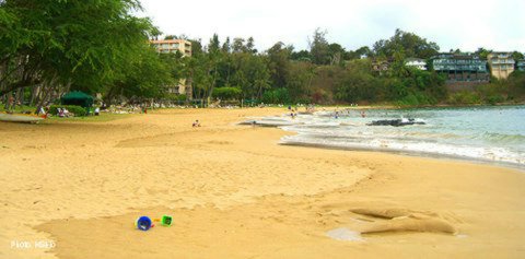 Kalapaki Beach north view