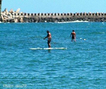 Kalapaki longboarder