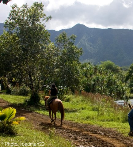 Kauai horseback rider