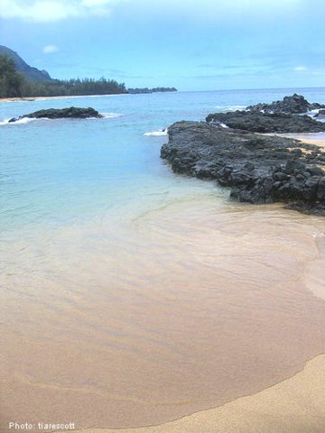 Lydgate Beach