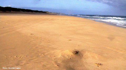 Kauai's southwest shore