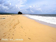 Sandy beach