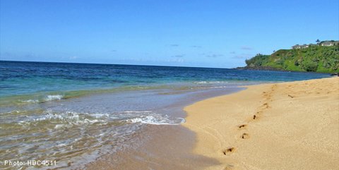 A sunny beach