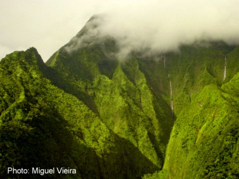 Waialeale crater